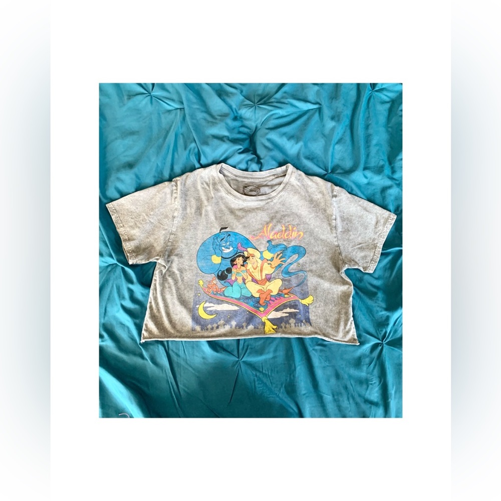 Cropped Grey Aladdin Top